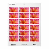 Roze Plumeria Frangipani Hawaii Flower Hawaiian Etiket (Full Sheet)