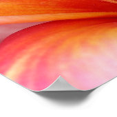 Roze Plumeria Frangipani Hawaii Flower Hawaiian Poster (Hoek)