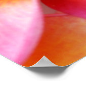 Roze Plumeria Frangipani Hawaii Flower Hawaiian Poster (Hoek)