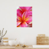 Roze Plumeria Frangipani Hawaii Flower Hawaiian Poster (Keuken)