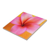 Roze Plumeria Frangipani Hawaii Flower Hawaiian Tegeltje (Zijkant)