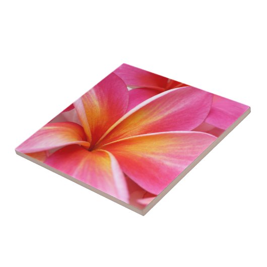 Roze Plumeria Frangipani Hawaii Flower Hawaiian Tegeltje (Zijkant)
