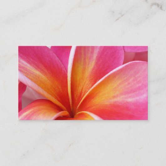 Roze Plumeria Frangipani Hawaii Flower Hawaiian Visitekaartje (Voorkant)