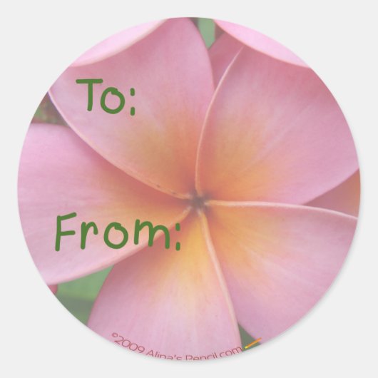 Roze Plumeria Gift Label Stickers (Voorkant)