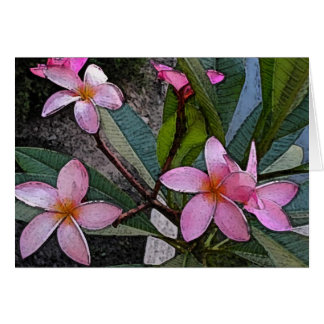Roze Plumeria-kaart