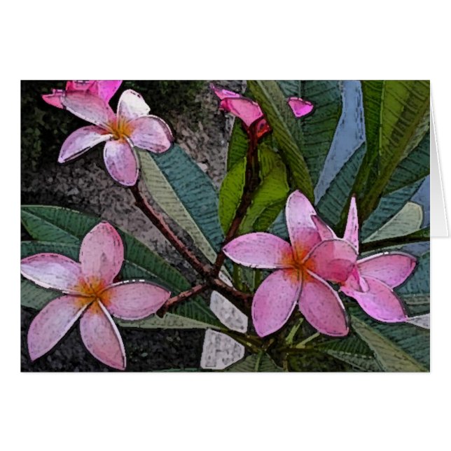 Roze Plumeria-kaart (Voorkant Horizontaal)
