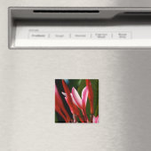 Roze Plumeria Magnet (Insitu (Vaatwasser))