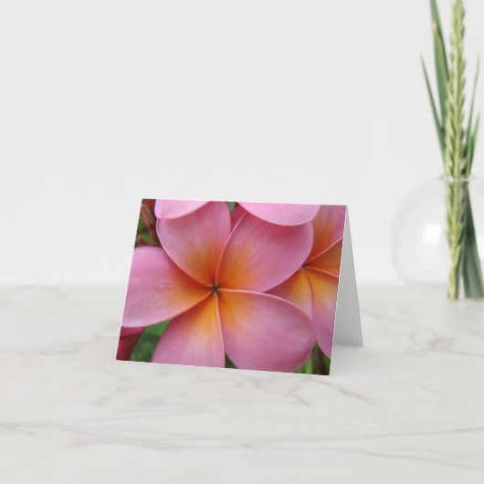 Roze Plumeria Notecard Kaart (Voorkant)