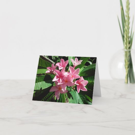 Roze Plumeria Photo Folded Note Kaart (Voorkant)