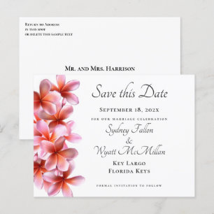 Roze Plumeria sparen het Witte Briefkaart van de D
