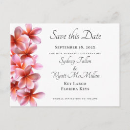 Roze Plumeria sparen het Witte Briefkaart van de D