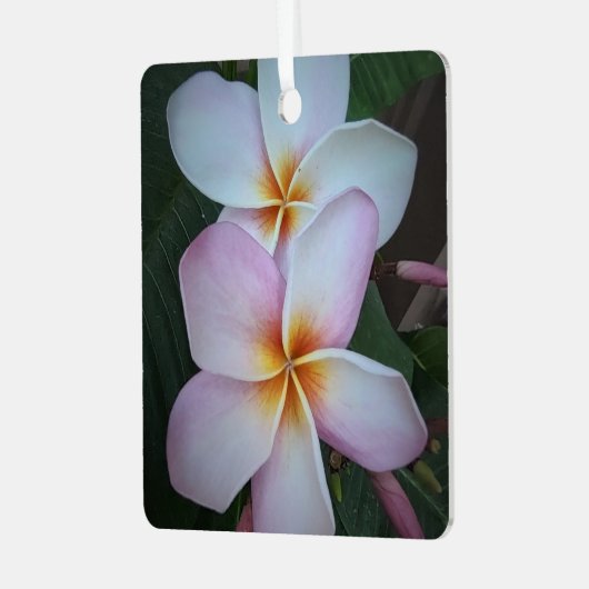 Roze Plumeria Square Ornament (Voorkant links)