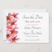 Roze Plumeria Wedding Save-the-Date White Aankondiging (Voorkant)