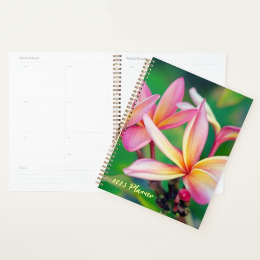 Roze plunjer planner (Display)
