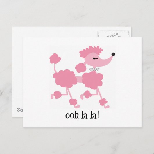 roze poedel briefkaart (Voorkant / Achterkant)