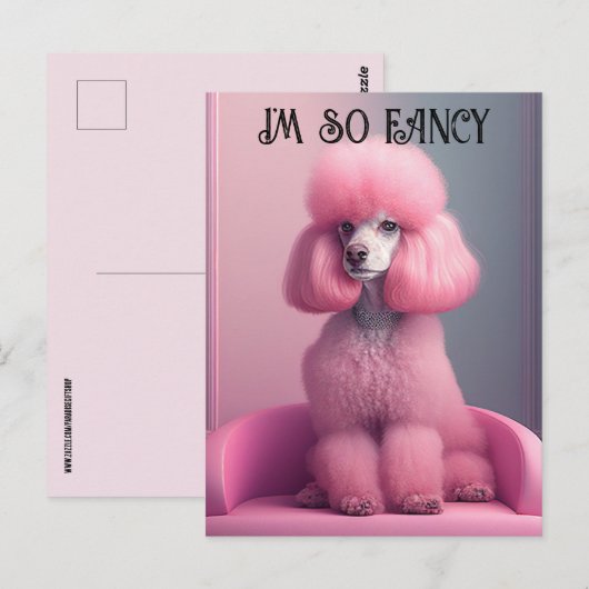 Roze poedel - Ik ben zo fancy Briefkaart (Voorkant / Achterkant)