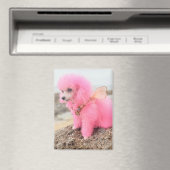 Roze poedel magneet (Insitu (Vaatwasser))