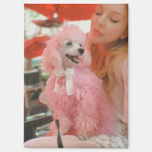 Roze poedel magneet, roze poedel cadeau magneet