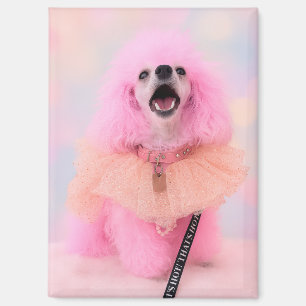 Roze poedel magneet, roze poedel cadeau magneet