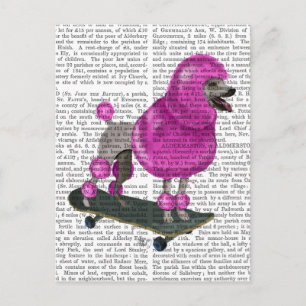 Roze poel en skateboard briefkaart