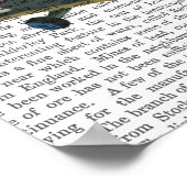 Roze poel en skateboard poster (Hoek)