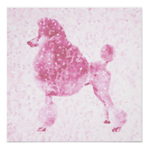 Roze poel perfect poster