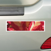 Roze Poinsettia Bumpersticker (Op auto)