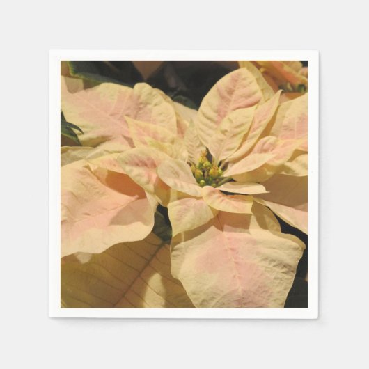 Roze Poinsettia Flower Paper Party servetten (Voorkant)