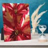 Roze Poinsettia Fotoplaat (Zijkant)