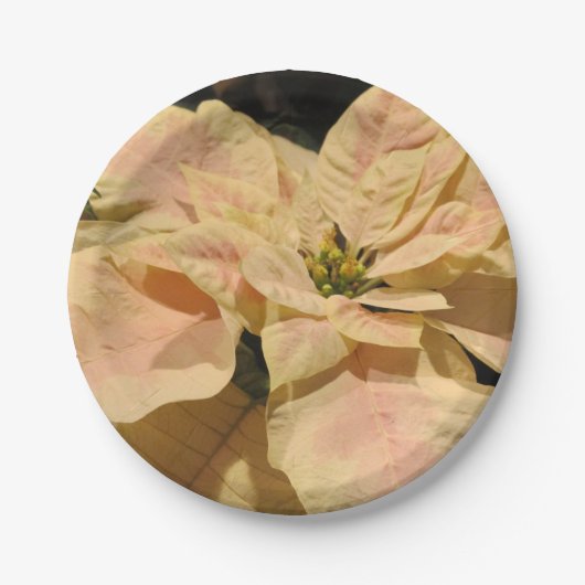 Roze Poinsettia Kerstfeest Papieren Borden Papieren Bordje (Voorkant)