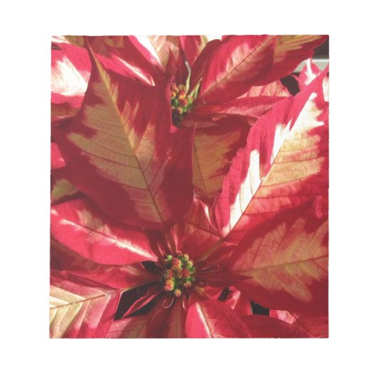 Roze Poinsettia Notitieblok (Voorkant)