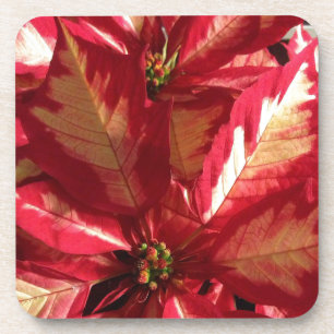 Roze Poinsettia Onderzetter