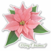 Roze Poinsettia Sticker (Voorkant)