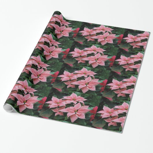 Roze poinsettia vakantieverlooppapier cadeaupapier (Uitgerold)