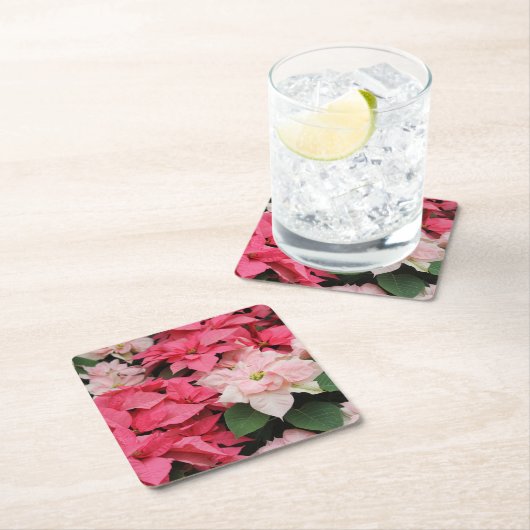 Roze Poinsettias Boeket Kartonnen Onderzetters (Insitu)
