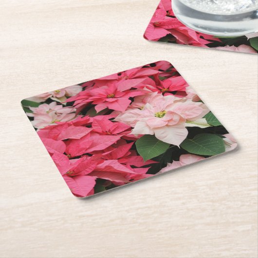 Roze Poinsettias Boeket Kartonnen Onderzetters (Schuin)
