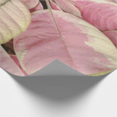 Roze Poinsettias Cadeaupapier (Hoek)
