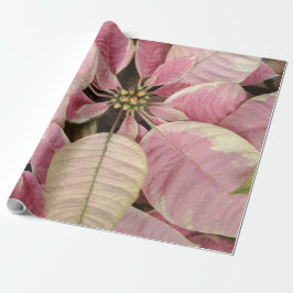 Roze Poinsettias Cadeaupapier