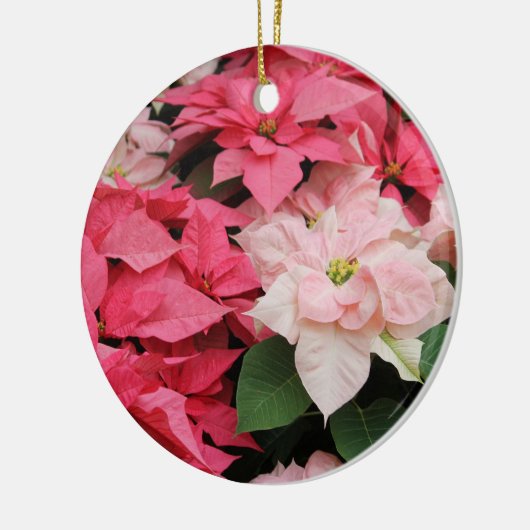 Roze Poinsettias Ornament (Links)