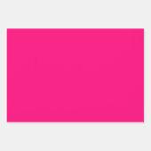 Roze Poinsettias Verpakkingspapier Inpakpapier Vel (Voorkant 3)