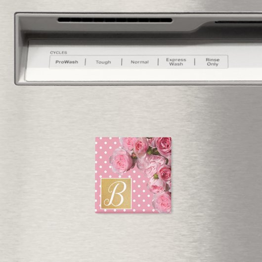 Roze pokadot en pony's magneet (Insitu (Vaatwasser))