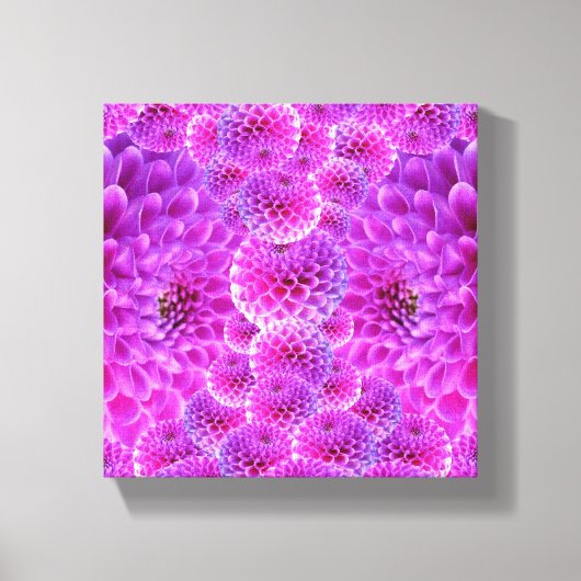 Roze Pom Dahlia Flowers Canvas Afdruk (Voorkant)