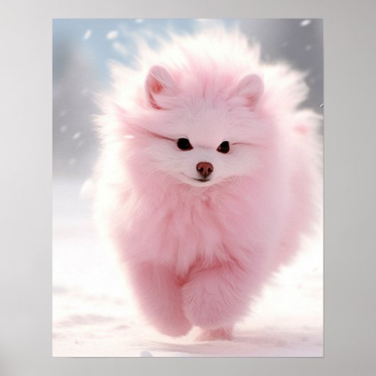 Roze Pomeranian in de sneeuw Poster (Voorkant)