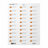 Roze pomkin Baby shower Return Address Label (Full Sheet)