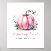 Roze pompoen Baby shower Posters (Voorkant)