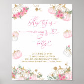 Roze Pompoen Floral Hoe groot is mama's buik Poster (Voorkant)