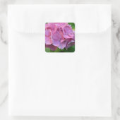 Roze Pompom Hortensia Bloem Vierkante Sticker (Tas)