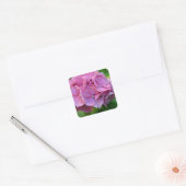 Roze Pompom Hortensia Bloem Vierkante Sticker (Envelop)