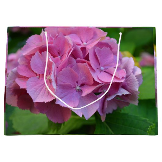 Roze Pompom Hydrangea Hortensia Bloem Groot Cadeauzakje (Voorkant)