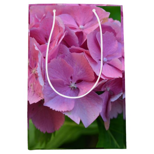 Roze Pompom Hydrangea Hortensia Bloem Medium Cadeauzakje (Voorkant)